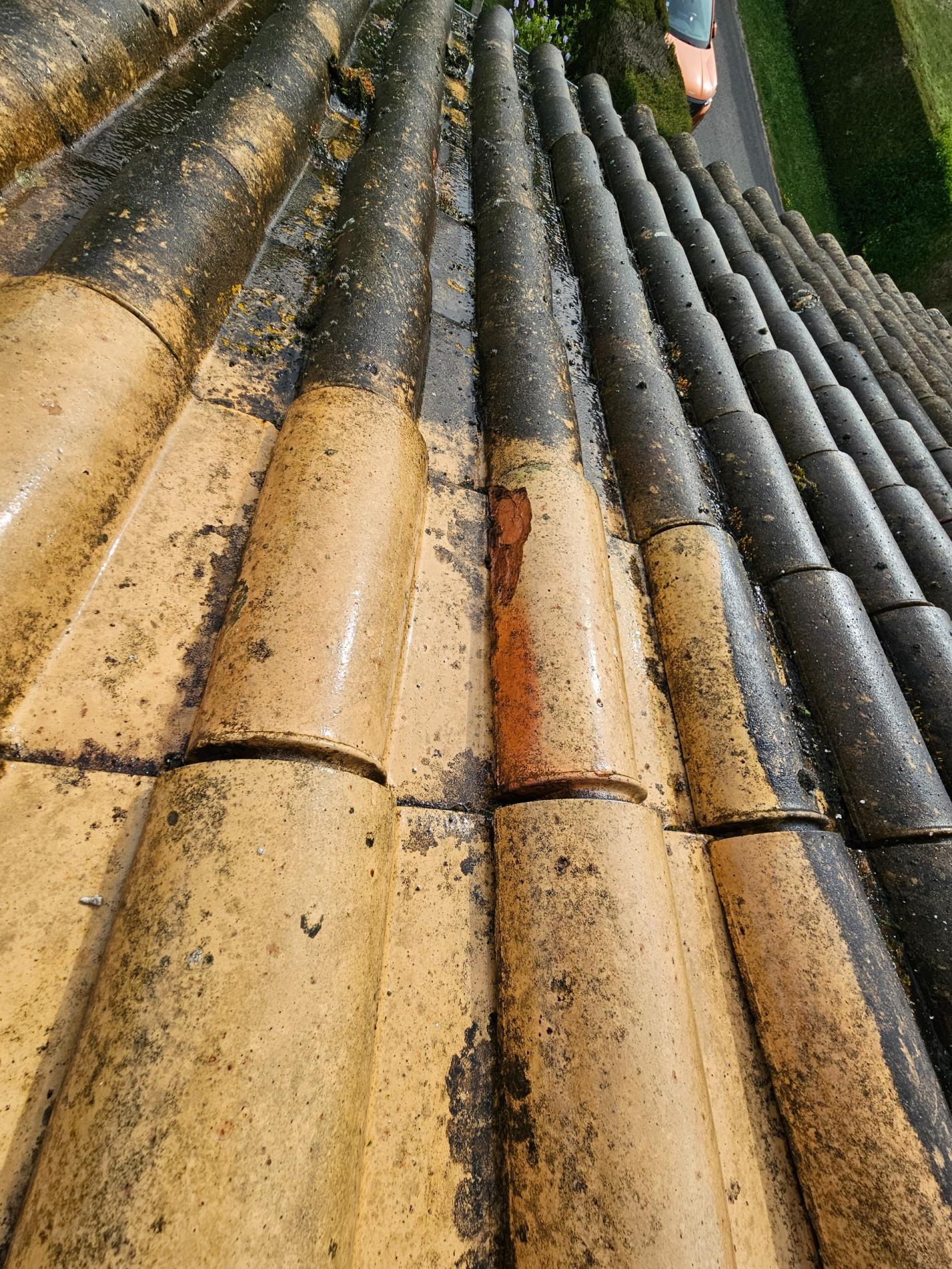 Entretenez votre toiture